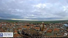 2022-03-07 14_13_56-Window.jpg