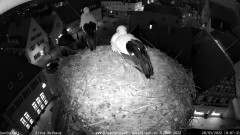 bandicam 2022-03-20 19-07-45-962.jpg