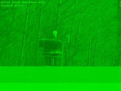 2022-03-26 09_05_47-Window.jpg