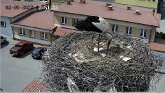B9A9AF59-91CF-4758-AB4A-E43C609538E9.jpeg