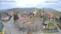 2022-05-06 21_56_08-Bocianie Gniazdo - Podgórzyn 2022 - Widok Full HD na gory - YouTube – Kinza.jpg