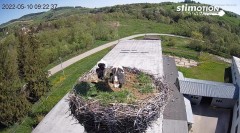 MWSnap 2022-05-10, 12_15_23.jpg