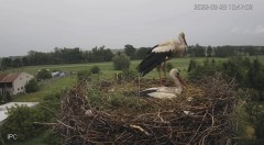 7E729326-6A96-4F5A-9143-0B07A5CA48D8.jpeg