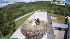2022-06-06 12_37_13-Bociany w Rzepedzi _ Bieszczady _ Kamera LIVE! – Kinza.jpg