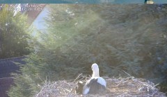 bandicam 2022-07-17 20-14-08-745.jpg
