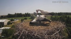 2022-07-20 16_28_31-Bociany - Raszków - YouTube – Kinza.jpg