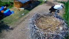 bandicam 2022-07-22 14-38-19-307.jpg
