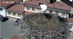 29893CE9-D264-4F70-8A79-7C6FF78207E2.jpeg