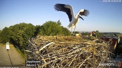 2022-08-10 22_10_01-RANEK MARCYSI - YouTube – Kinza.jpg