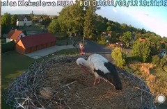 bandicam 2022-08-12 19-20-04-417.jpg