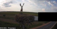 2022-08-15 19_33_50-20220815_182251_EDIT.mp4 ‎- Zdjęcia.jpg