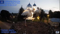2022-08-15 22_29_04-Gniazdo Bocianie - Telewizja Sokółka [NA ŻYWO] _ IP Camera_ Stork's nest [LIVE] .jpg