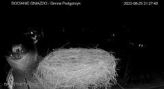 1017A2BE-E3F2-4098-9D6E-F80EBBC5E593.jpeg
