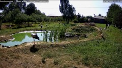 69C304D1-57DE-4C4B-906A-034E92C7E118.jpeg