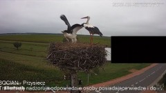 2022-08-28 20_06_20-KOLACJA PRZYLECIALA PRZYSIECZ - YouTube – Kinza.jpg