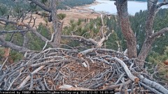 2022-12-02 23_11_23-Big Bear Bald Eagle Live Nest Cam - YouTube – Maxthon.jpg