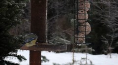 20230123_140712.jpg