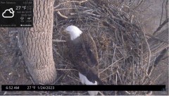 2023-01-24 21_46_08-Port Tobacco Eagle Cam - YouTube – Maxthon.jpg