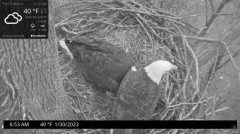 2023-01-30 22_50_04-Port Tobacco Eagle Cam - YouTube – Maxthon.jpg