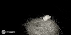 2023-03-14 21_19_57-Storkereden i Smedager 2023 _ TV SYD – Maxthon.jpg