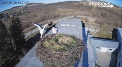 2023-03-18 15_21_36-Bociany w Rzepedzi _ Bieszczady _ Kamera LIVE! – Maxthon.jpg