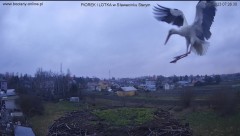 F478E345-A93C-4276-A4CE-8203142B5286.jpeg