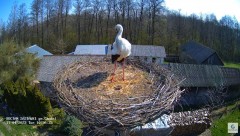 2023-04-11 21_45_28-(1) Zastawki - Bocianie gniazdo - YouTube – Maxthon.jpg