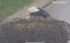 2E05D95F-2702-41A6-BB61-191D07048AC4.jpeg