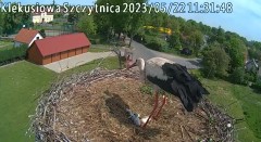 2023-05-22 11_31_30-Klekusiowo – Ośrodek Rehabilitacji Dzikich Zwierząt – Maxthon.jpg