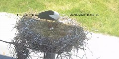 E122F8DF-A544-450D-9980-9AD3DAF32F48.jpeg