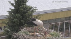 0EC7066D-C606-430E-BCBD-59ED3DEF246F.jpeg