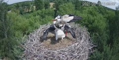 2023-06-19 22_12_08-Wodociągi Ostrołęka – transmisja na żywo - YouTube – Maxthon.jpg