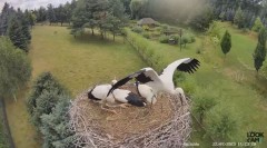 2023-07-22 22_27_39-Strzelce - bocianie gniazdo - YouTube – Maxthon.jpg