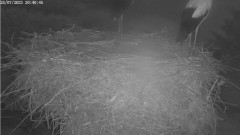 bandicam 2023-07-25 21-40-42-688.jpg