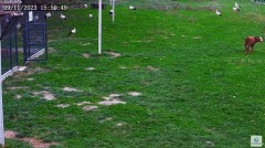 20231109_225214.jpg