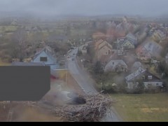 bandicam 2024-02-04 10-10-48-024.jpg