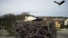 IMG_0384.jpeg