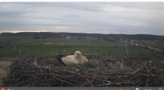IMG_0425.jpeg