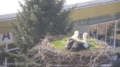 IMG_0332.jpeg
