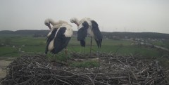 IMG_0536.jpeg