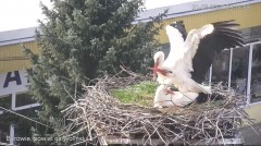 IMG_0673.jpeg
