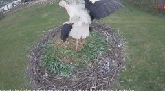 IMG_1269.jpeg