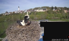 IMG_9049.jpeg