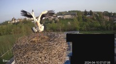 IMG_2592.jpeg