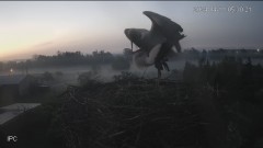 IMG_3031.jpeg