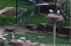 IMG_3332.jpeg