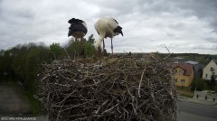 IMG_3754.jpeg