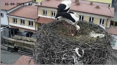 IMG_3910.jpeg