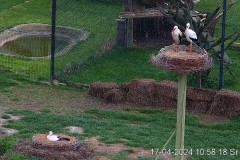 IMG_4175.jpeg