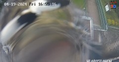 IMG_5237.jpeg